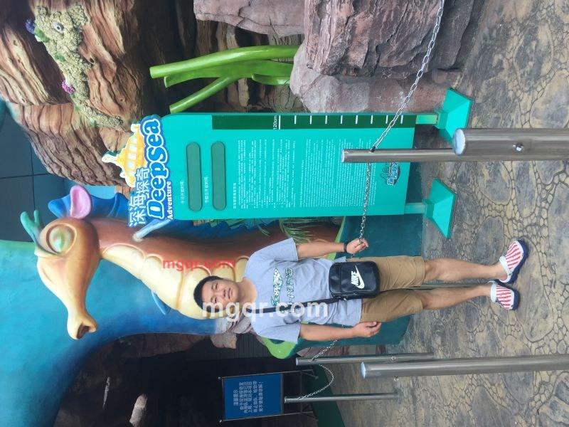 爱尔兰咖啡王子的第2张照片