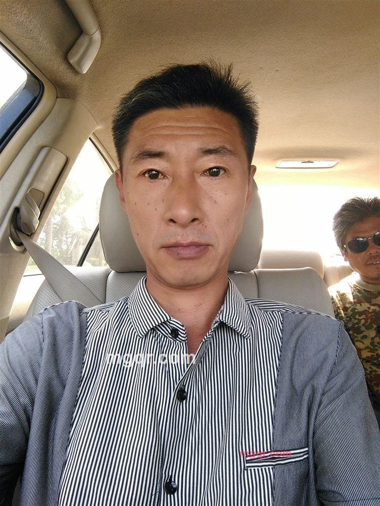 whlele的第1张照片