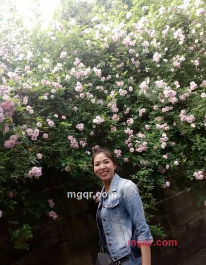 彩色石头的第1张照片