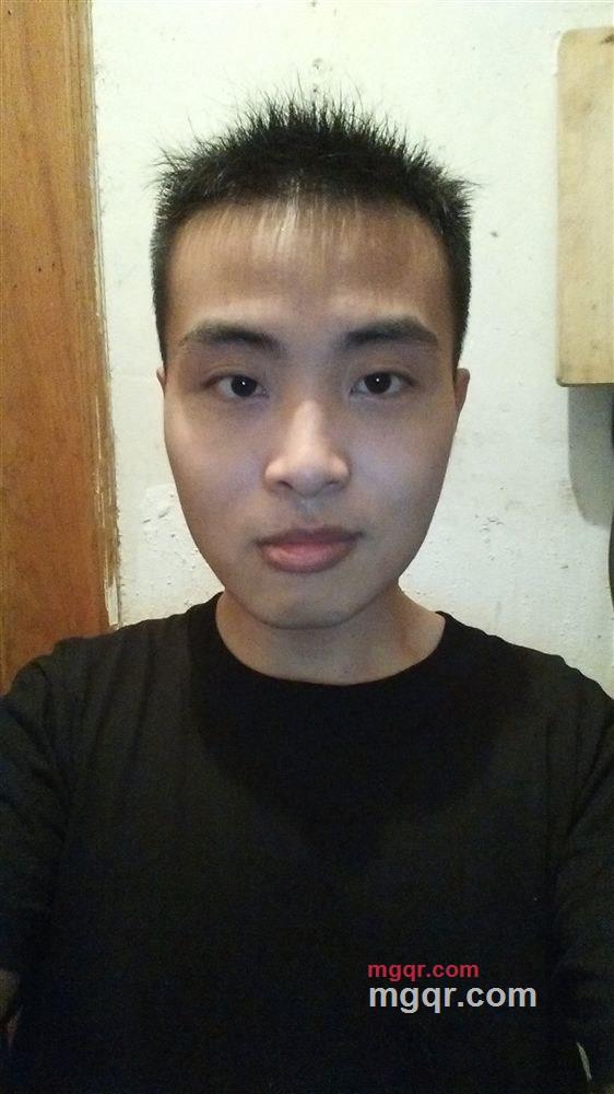 军刺731的第2张照片