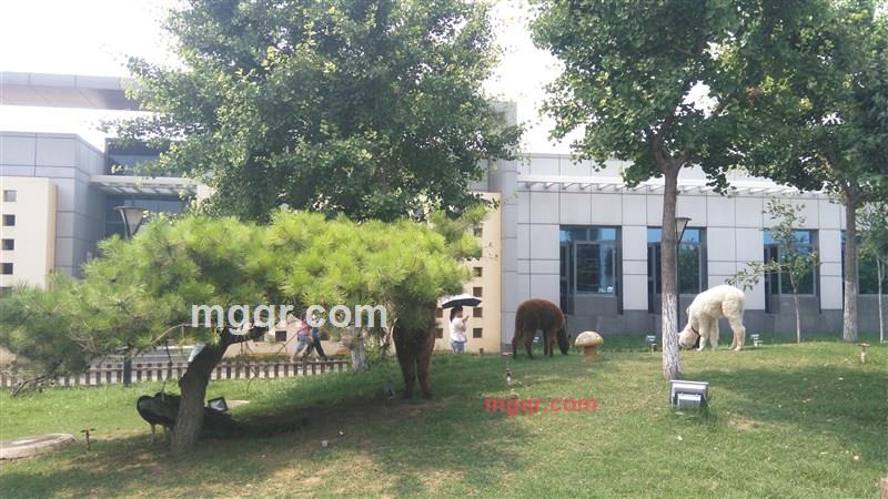 随遇而安的第4张照片