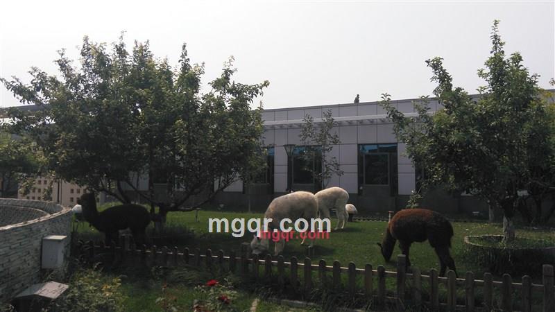 随遇而安的第3张照片