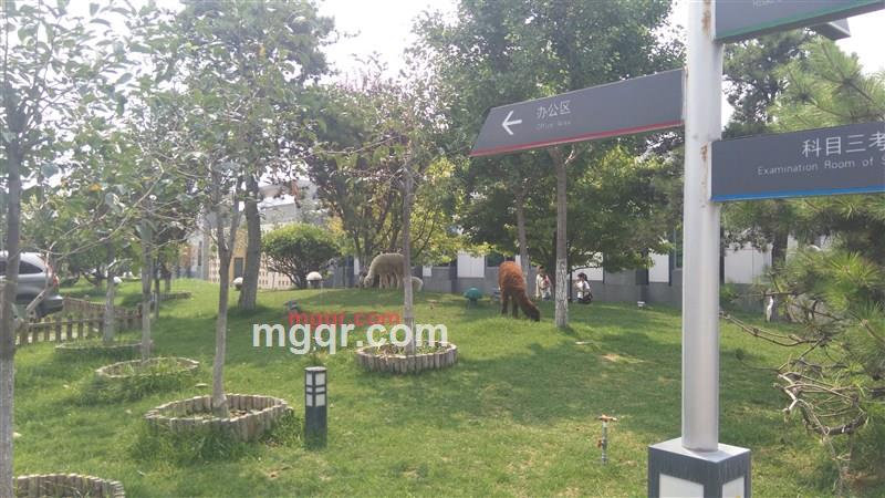 随遇而安的第1张照片