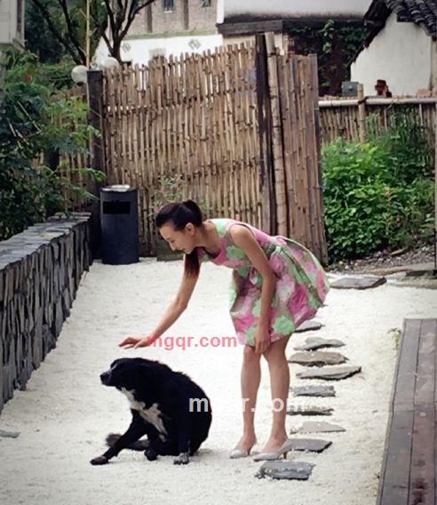 loveyujie的第2张照片