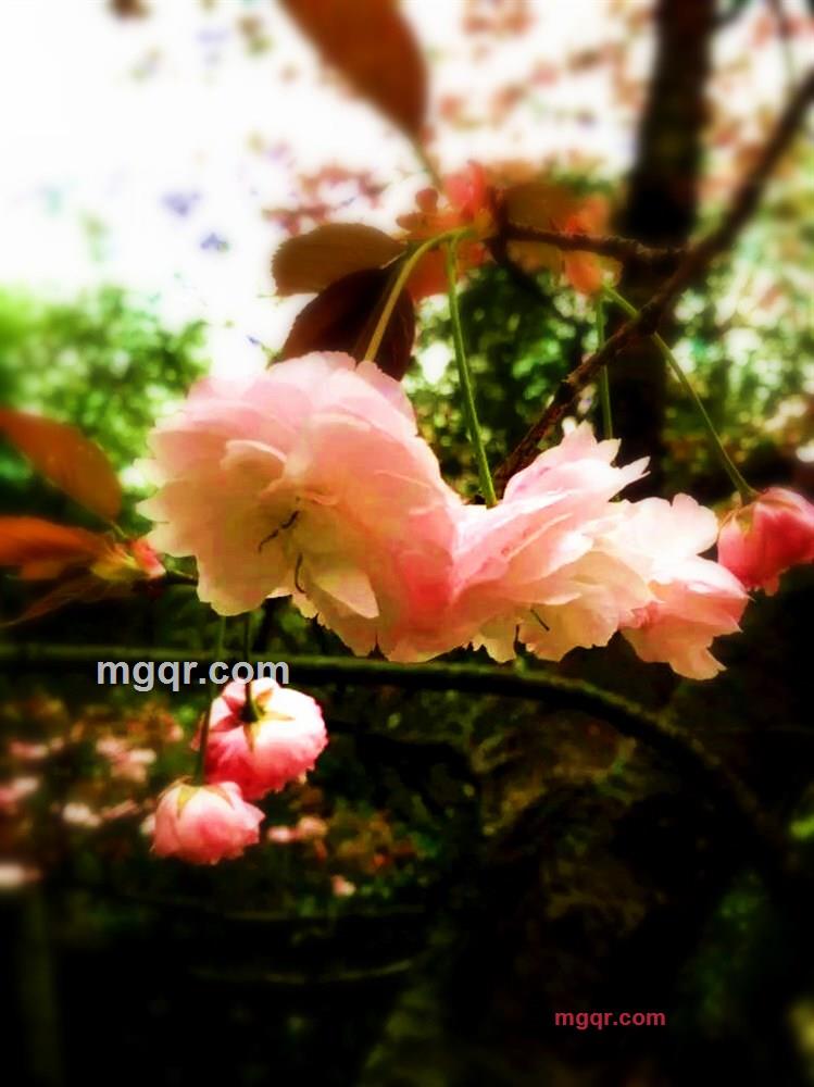 longly10的第1张照片