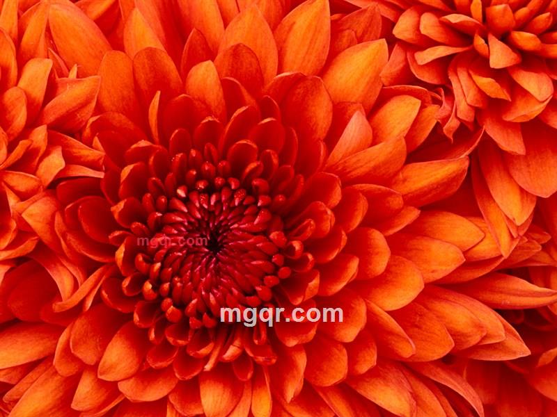 肩头上的温暖的第3张照片