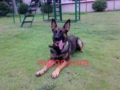 aiai-178的第3张照片