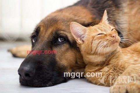 aiai-178的第2张照片