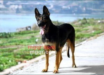 aiai-178的第1张照片