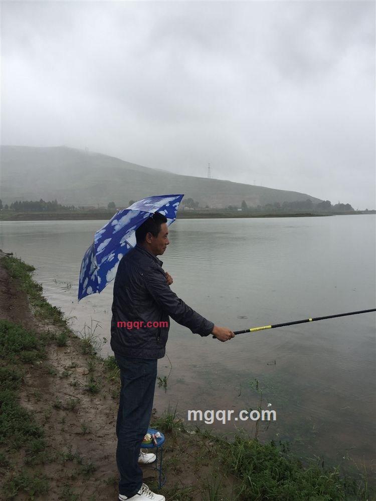 清心淡泊的第1张照片