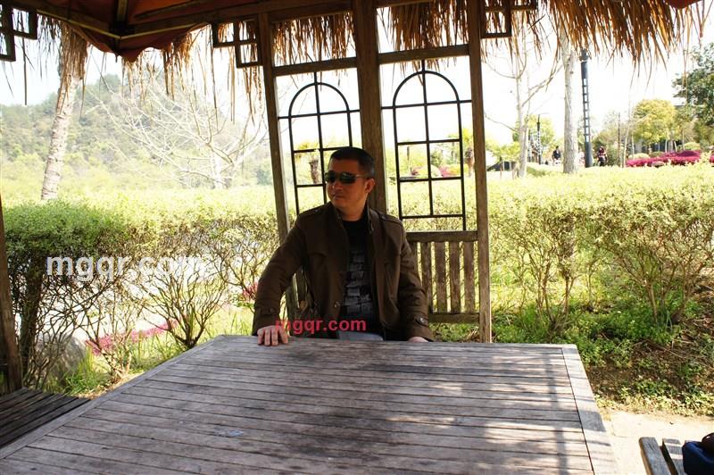 秋天会回来6E988的第4张照片