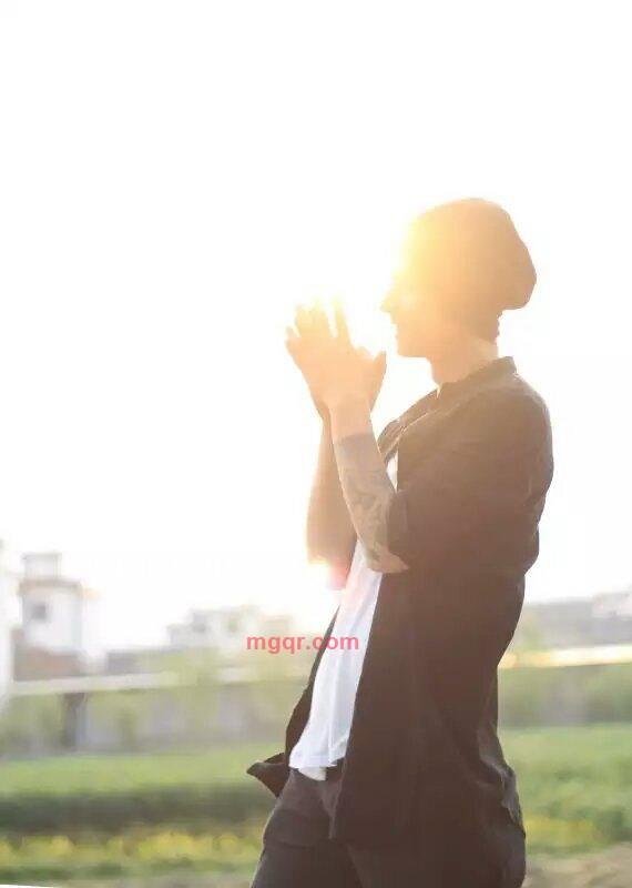 木马的第3张照片