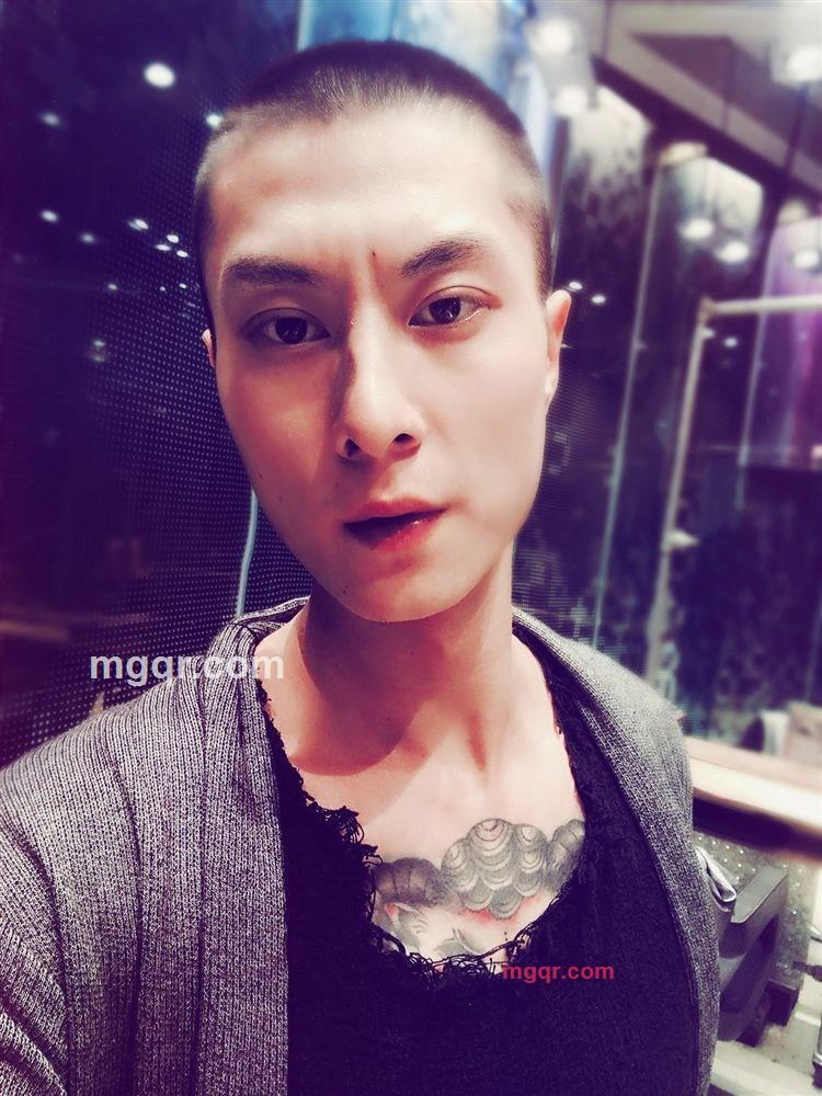 木马的第2张照片