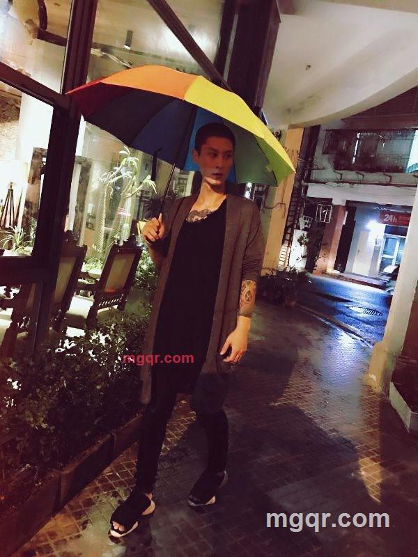 木马的第1张照片