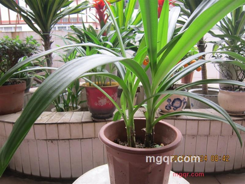 林中听山泉的第4张照片