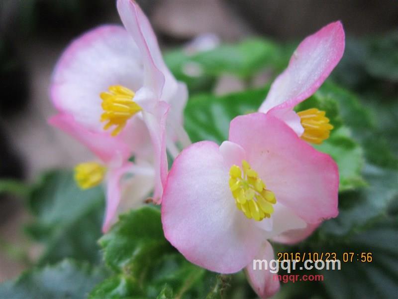 林中听山泉的第3张照片