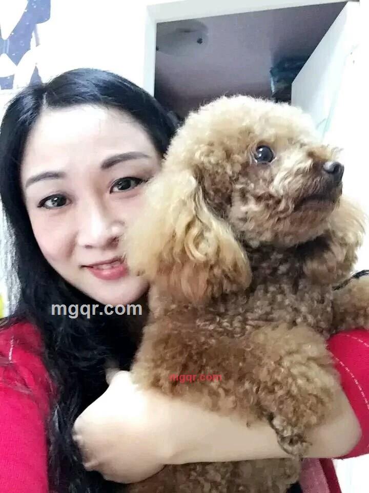 小鹿在迷路的第3张照片