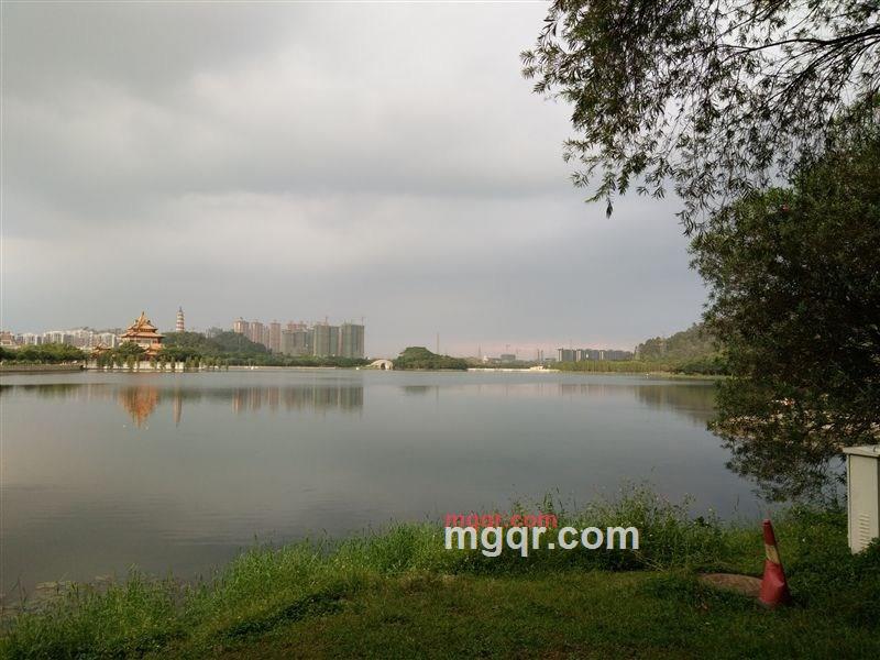 花香的第4张照片