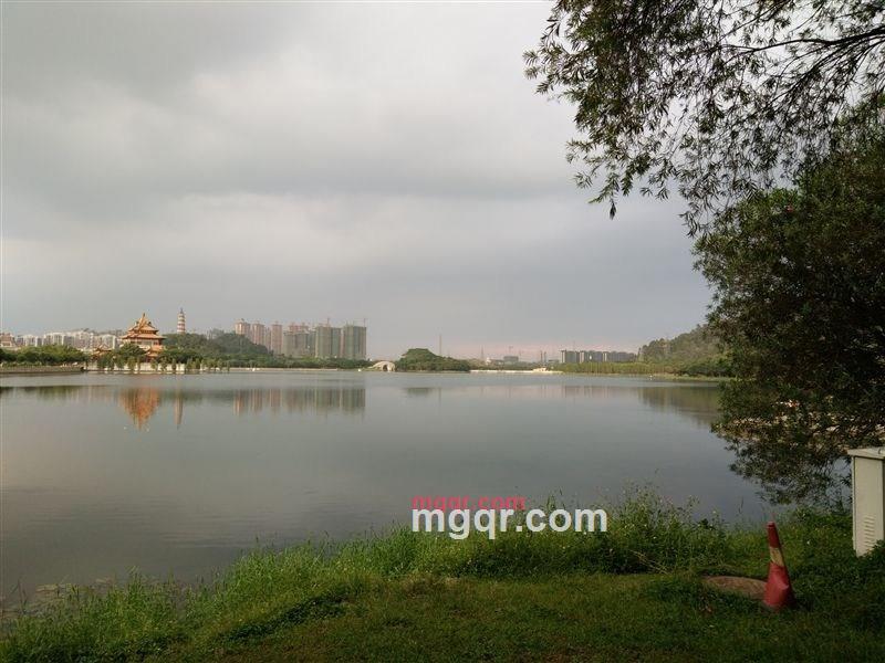 花香的第3张照片