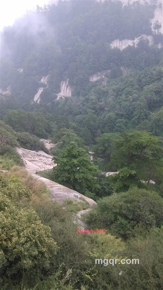 随便取个名有人抢的第3张照片