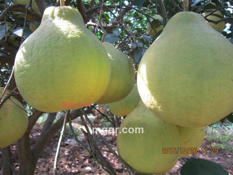 林中听山泉的第1张照片