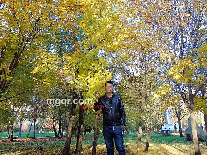 赵幸福的第3张照片