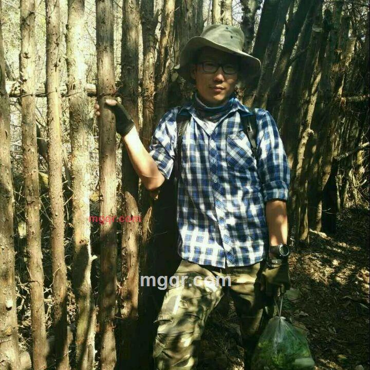 昆明小狼君的第1张照片