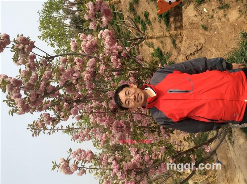 项先生的第1张照片