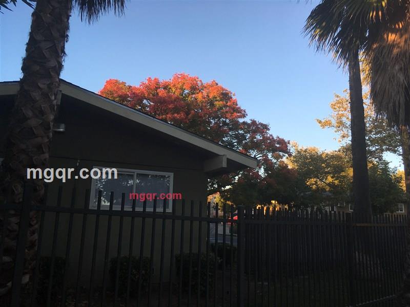 华子GG的第3张照片