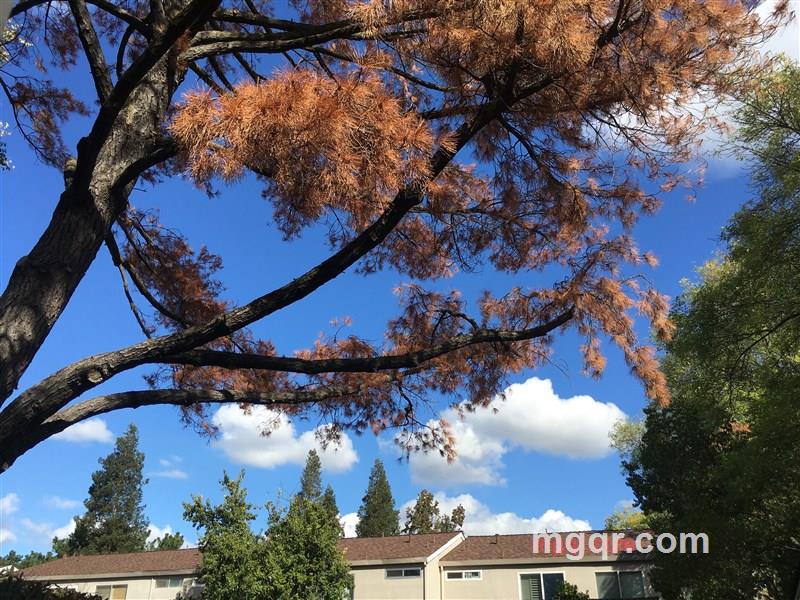 华子GG的第2张照片