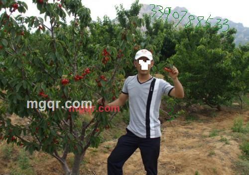 野元的第1张照片