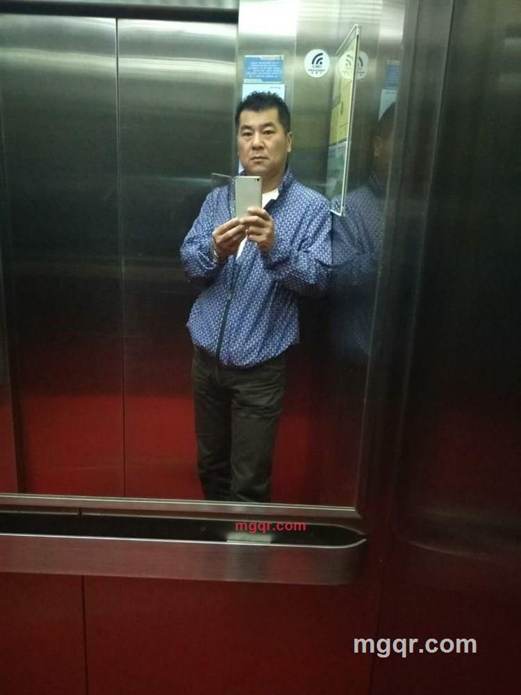 金雕.郝德来.耀西的第3张照片