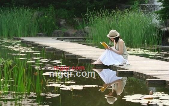 萍聚1的第1张照片