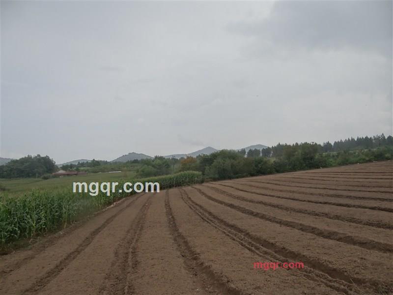 竹林赏月的第1张照片