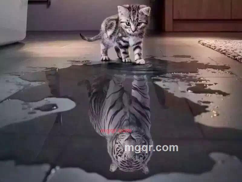 狼觅狐的第2张照片