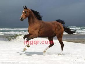 快乐的小丑的第2张照片