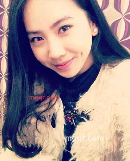 白鸽与橄榄枝的第1张照片