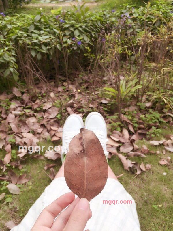 求爱小女子的第1张照片