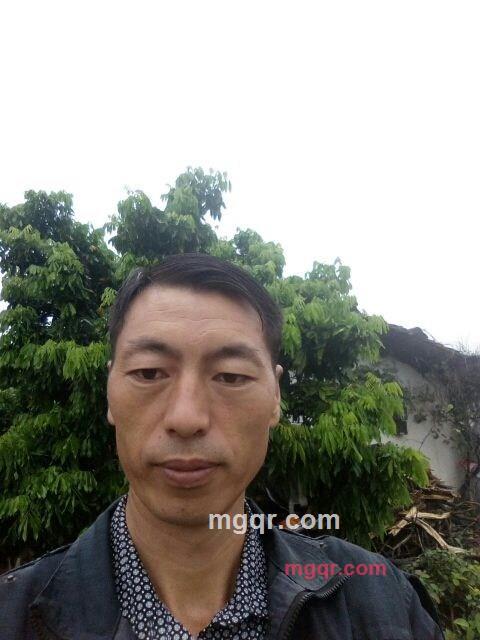 龙游天下的第1张照片