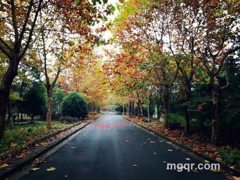 潇湘~夜雨的第4张照片