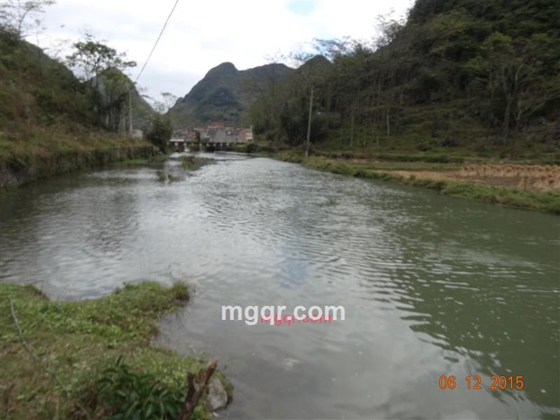 为你留下美丽的瞬间的第4张照片