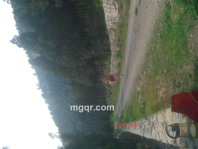 民谣好听的第3张照片