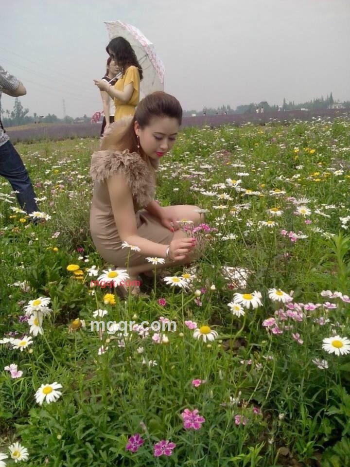 倾城回忆的第4张照片