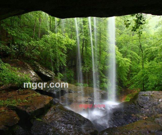 清风飞扬的第1张照片