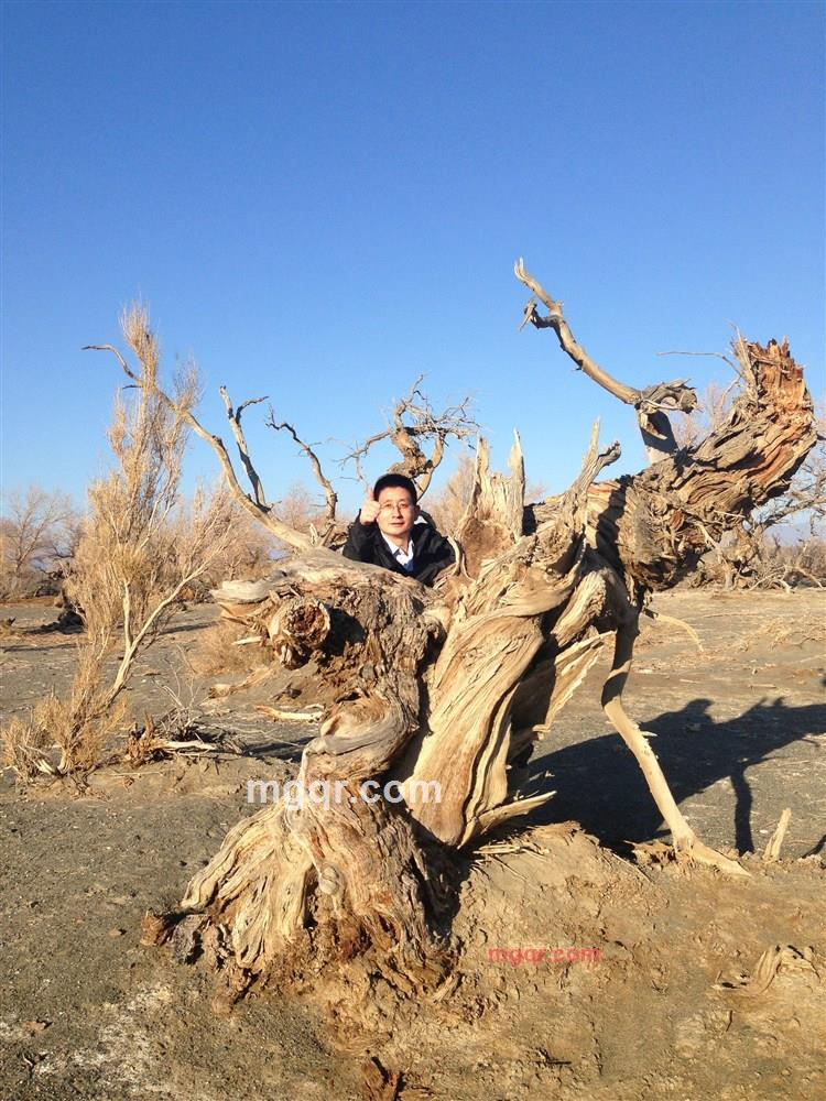 在乎拥有的第1张照片