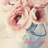 叶子的第1张照片