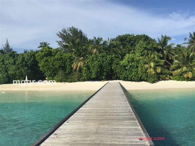 天马路上的行者的第3张照片