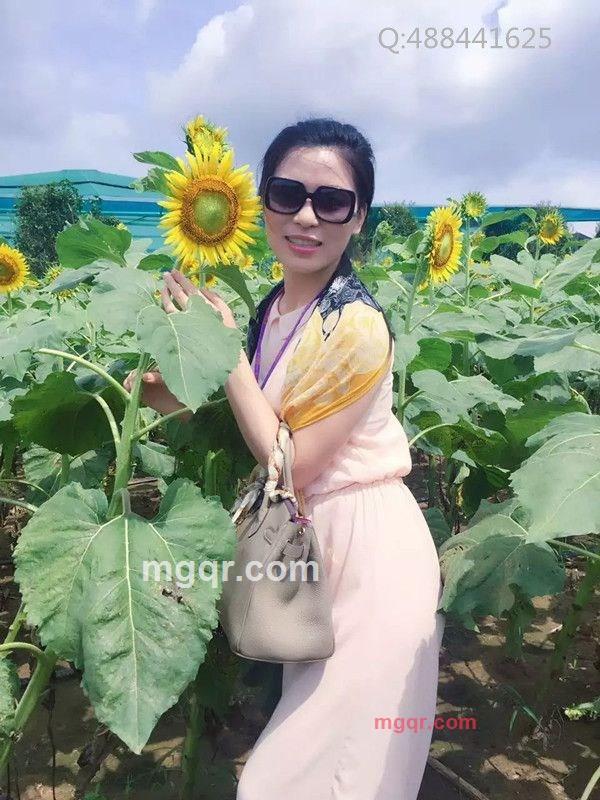 熊猫滚滚的第1张照片