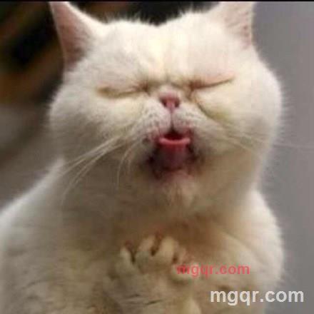 艾伯纳bobo贱贱的第3张照片