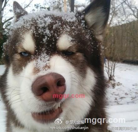 艾伯纳bobo贱贱的第2张照片